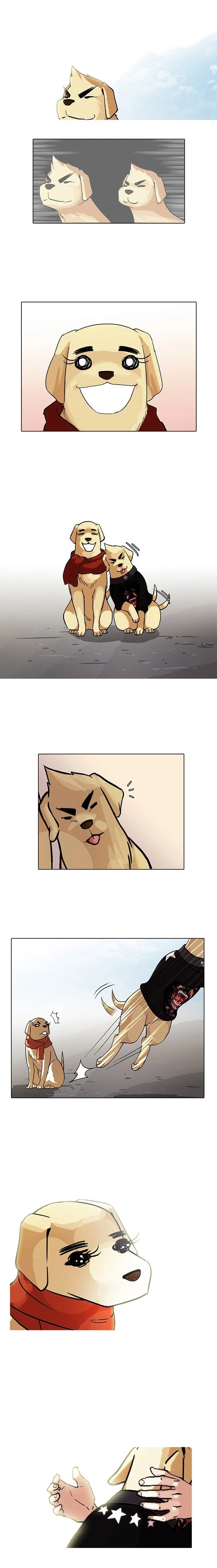 Read Lookism Português Manga Online