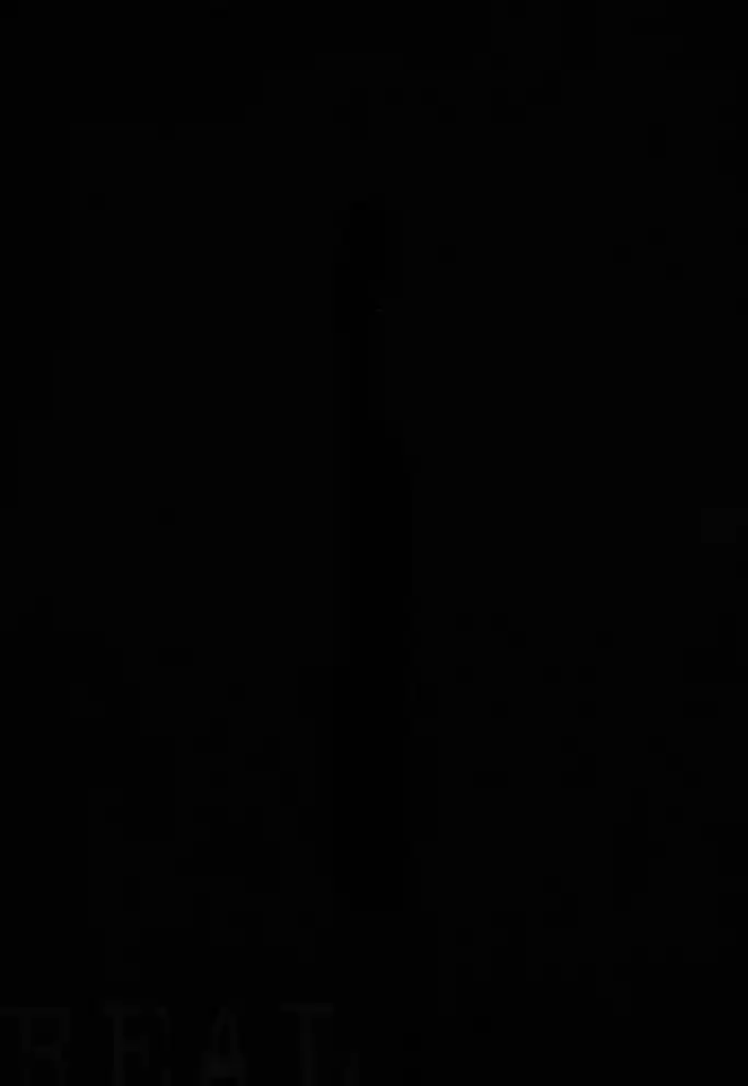 Read Real Português Manga Online