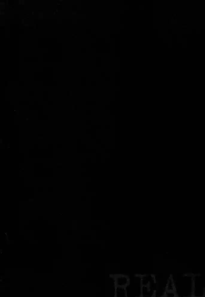 Read Real Português Manga Online