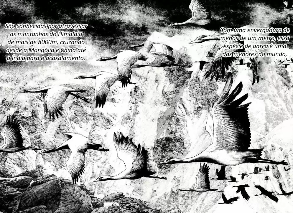 Read The Climber Português Manga Online