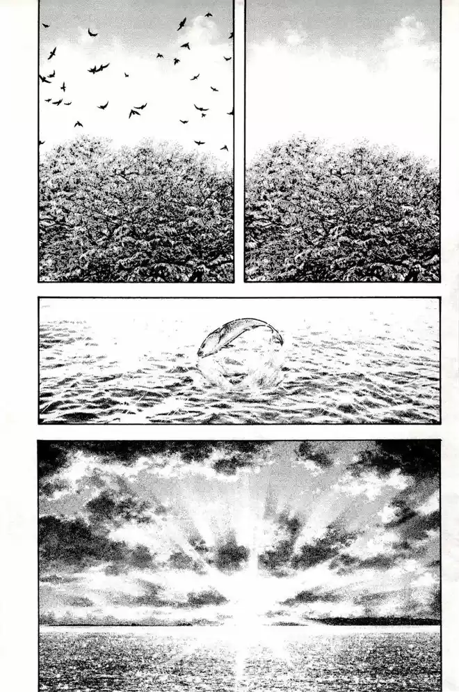 Read The Climber Português Manga Online