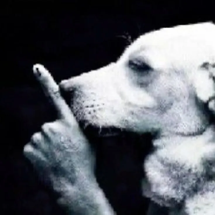 Read The Infinite Mage Português Manga Online